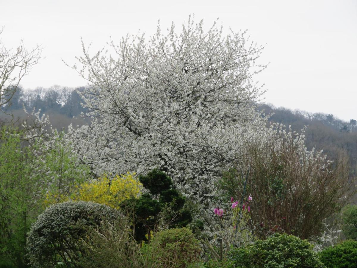 Ecrin De Verdure Sainte-Suzanne  Luaran gambar
